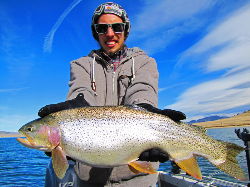 Colorado Fishing Report for Big Trout