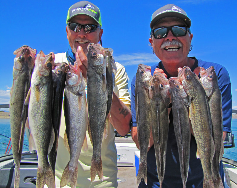 Colorado Fishing Report, Lake Pueblo Walleye Fishing Report